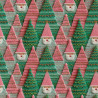 Printed Cotton OUILEY Green / Pink